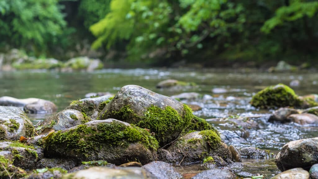 Entretien Des Cours D Eau DRUMETTAZ CLARAFOND